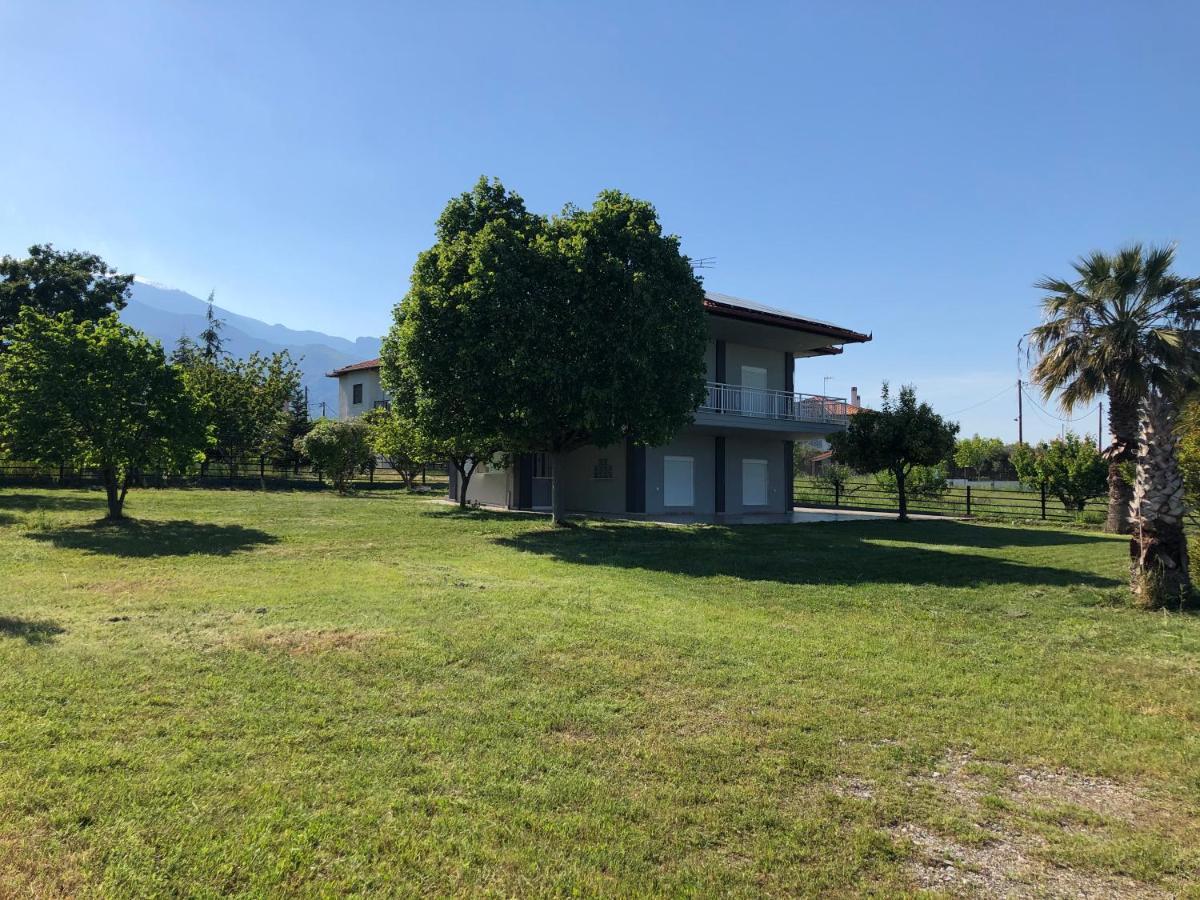 Olybos Suite Leptokarya  Esterno foto
